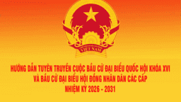 Hướng dẫn Quy trình bỏ phiếu Bầu cử ĐB QH và ĐB HĐND các cấp Nhieemj kyf 2026 - 2031